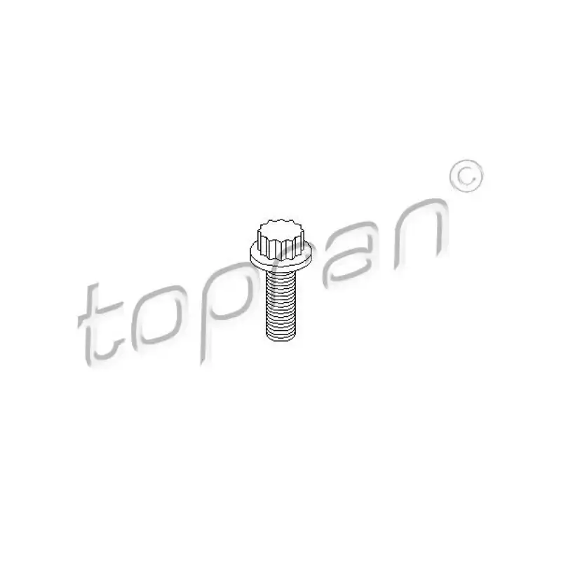 Ofertă avantajoasă | HP-109 334 885 Surub pinion distributie