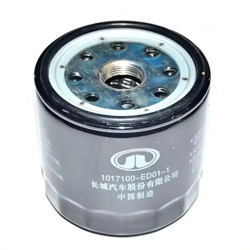 HAV-1017100-ED01 Filtru ulei - Selecție de top