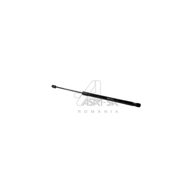 Amortizor haion Duster | Preț promoțional