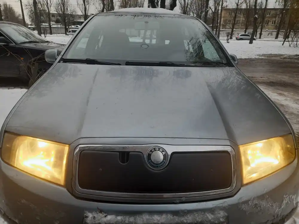 Skoda Fabia 2000-2007 Husa de iarna pentru grila | Plată sigură
