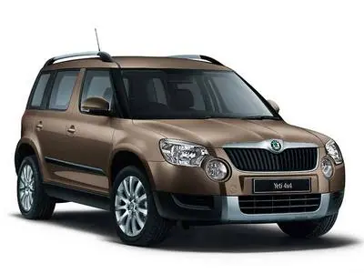 Reducere specială - Ornamente / benzi cromate pentru Skoda Yeti 2009-2017